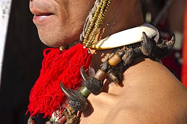 Phom warrior in full gear at the annual Hornbill Festival in Kohima, India, Asia