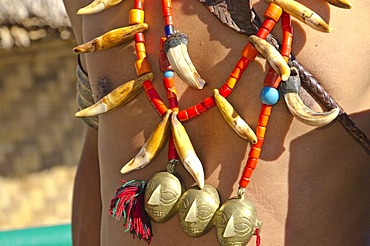 Phom warrior in full gear at the annual Hornbill Festival in Kohima, India, Asia