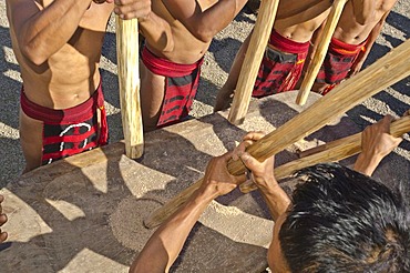 Members of the Samdom tribe show their traditional way of crushing crops at the annual Hornbill Festival, Kohima, Nagaland, India, Asia