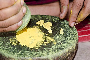 The colour yellow for the make-up of the Kathakali dancers is made from Maneola, Varkala, Kerala, India, Asia