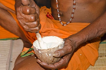 Rice powder mixed with lime, used as glue for the make-up of the Kathakali dancers, Varkala, Kerala, India, Asia