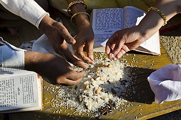 Jain pilgrims doing a special pooja in front of the gigantic statue to receive the blessings of Bahubali by the local priests, Sravanabelagola, Karnataka, India, Asia