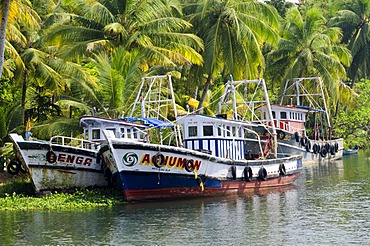 Boats in the backwaters in Kerala, India, Asia