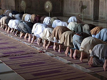 Muslims praying at Jama Mashid in Lahore, one of the largest mosques in Asia, Punjab, Pakistan, South Asia