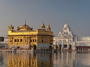 The Golden Temple, the most important and sacred place for Sikhs, Amritsar, Punjab, India, Asia