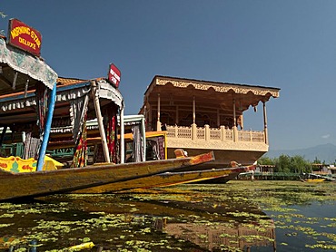 Houseboats on Dal Lake, popular to accomodate tourists in Srinagar, Jammu and Kashmir, India, Asia