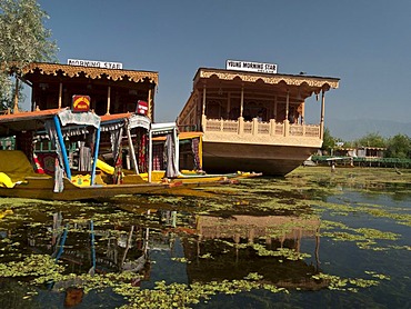 Houseboats on Dal Lake, popular to accomodate tourists, in Srinagar, Jammu and Kashmir, India, Asia