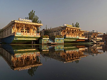 Houseboats on Dal Lake, popular to accomodate tourists, in Srinagar, Jammu and Kashmir, India, Asia