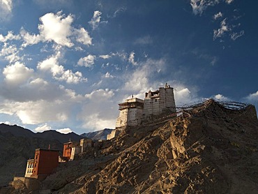 Namgyal Tsemo Gompa, overlooking Leh, the capital of the former kingdom of Ladakh, Leh, Jammu and Kashmir, India, Asia