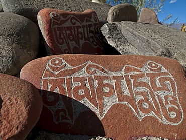 Mani stones with the carved "Om Mani Padme Hum", the mantra of Avalokiteshvara, the Buddha of Compassion, Thiksey, Jammu and Kashmir, India, Asia