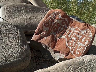 Mani stones with the carved "Om Mani Padme Hum", the mantra of Avalokiteshvara, the Buddha of Compassion, Thiksey, Jammu and Kashmir, India, Asia