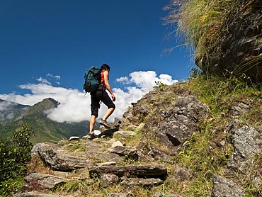 Trekking tourist walking from Dhunche towards Langtang Himal, Himalayas, Nepal, Asia