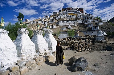 Thiksey, one of the most important monasteries in Ladakh, Thiksey Gompa, Jammu and Kashmir, India, Asia