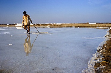 Worker in the saltpans, Malya, Gujarat, India, Asia