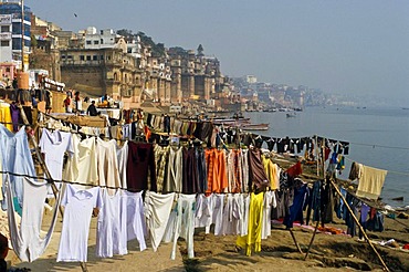 Laundry at the banks of river Ganges outside Varanasi, washed by the dhobi wallahs or laundry men, Uttar Pradesh, India, Asia