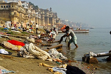 Dhobi wallahs or laundry men cleaning laundry in the river, Varanasi, Uttar Pradesh, India, Asia