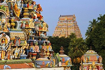 Srirangam temples, example of the old Drawidian architecture, Tiruchirappalli, Tamil Nadu, India, Asia