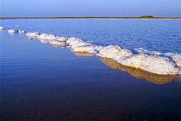 Salt production with artificial basins, created to let the water condense, Malya, Gujarat, India, Asia