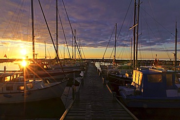 Sunrise over the yachts at the jetty, Spodsbjerg, Langeland, Denmark, Europe