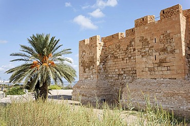 Bordj El Kebir fort in Houmt Souk on Djerba Island, Tunisia, Maghreb, North Africa, Africa