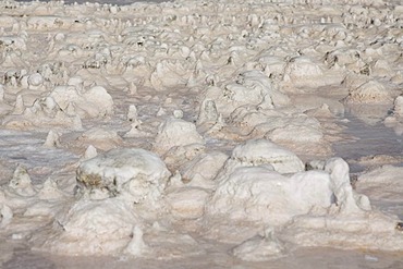 Sebkhet el Melah salt lake near the Zarzis oasis, Tunisia, Maghreb, North Africa, Africa