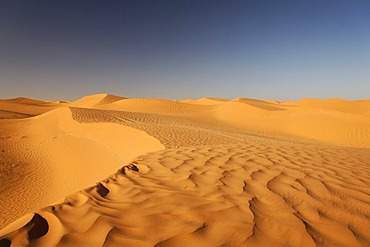 Desert landscape in the Sahara near Ksar Ghilane, Tunisia, Maghreb, North Africa, Africa