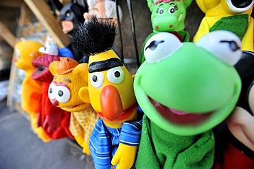 Hand puppets, Kermit, Bert, Fozzie Bear, Mexico, Latin America, North America