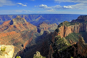 Grand Canyon North Rim in the evening light, Cape Royal, Arizona, USA