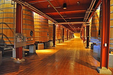 Oak fermentation barrels from the Robert Mondavi Winery, Napa Valley, California, USA