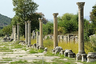 Ruins of Ephesus, Efes, excavations, UNESCO World Heritage Site, Harbour Street leading from the amphitheatre to the sea, Selcuk, Lycia, Southwest Turkey, west coast, Western Turkey, Turkey, Asia Minor, Asia