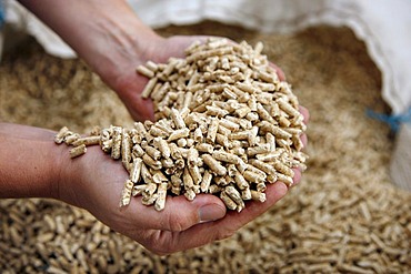 Production of wood pellets for heating, at the WestPellets company in Titz, North Rhine-Westphalia, Germany, Europe