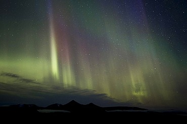 Green nothern lights, aurora borealis, Spitsbergen, Svalbard, Norway, Scandinavia, Europe