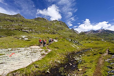 Climbers above the Timmelsalm alpine meadow, while ascending towards Mueller Hut via the Passeiertal valley from the road of Timmelsjoch Pass, Alto Adige, Italy, Europe