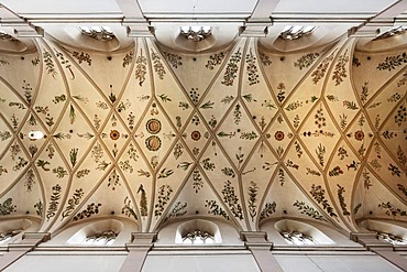 Herbarium on the vaulted ceiling, Monastery Church of St. Michael, Michaelsberg Abbey, Bamberg, Upper Franconia, Franconia, Bavaria, Germany, Europe