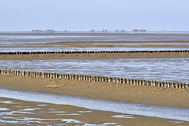 View across the Wadden Sea with coastal protection, groynes, Hallig Langeness, small island, at back, North Sea shore, Schleswig-Holstein Wadden Sea National Park, Dithmarschen region, Schleswig-Holstein, Germany, Europe