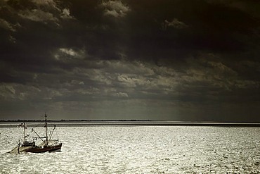 Shrimp cutter at sea, dusk, North Sea coast, Germany, Europe