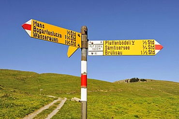 Hiking guide on the high plateau Alp Sigel, 1730 m, in the Appenzell Alps, Canton of Appenzell Innerrhoden, Switzerland, Europe