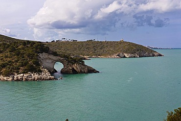 Coast near Gargano, Architello San Felice, also known as the spur of the Italian boot, Foggia Province, Apulia, Puglia, Gargano, Adriatic Sea, Italy, Europe