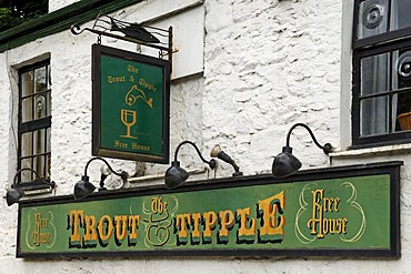 The Trout Tipple inn sign, Tavistock, West Devon, England, United Kingdom, Europe