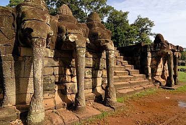 Stone elephant sculptures on the Terrace of Elephants, Angkor Wat Temple Complex, Siem Reap, Cambodia, Indochina, Southeast Asia, Asia