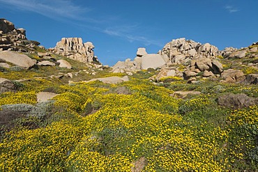 Rock formations, outer Gallura, Palau, Sardinia, Italy, Europe