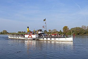 Kaiser Wilhelm paddle steamer, River Elbe, Lower Saxony, Germany, Europe