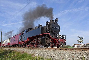 Steam train "Molli", Kuehlungsborn West, Baltic Sea, Mecklenburg-Western Pomerania, Germany, Europe