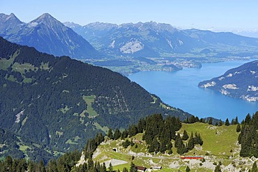 View of Lake Thun and Niesen mountain as seen from Schynige Platte, Wilderswil, Bern, Switzerland, Europe