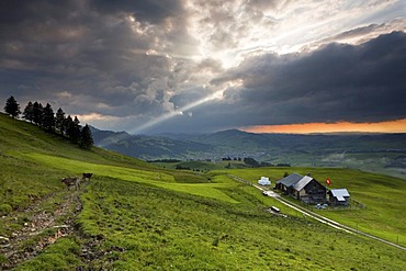 Alpine pasture with a hut in the evening light, Appenzell, Switzerland, Europe, PublicGround