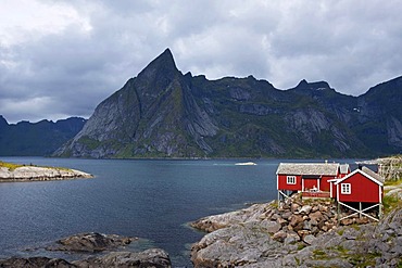 Red fishermen's houses in Reine, Lofoten Islands, Norway, Scandinavia, Europe, PublicGround