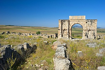 Triumphal arch of Caracalla, Roman ruins, ancient city of Volubilis, UNESCO World Heritage Site, Morocco, North Africa, Africa