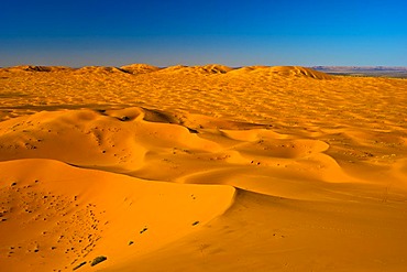 Sand dunes of Erg Chebbi in the evening light, southern Morocco, Morocco, Africa