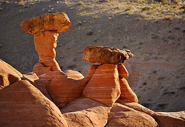 Red Hoodoos, toadstool hoodoos, rimrocks, Grand Staircase Escalante National Monument, GSENM, Utah, United States of America, USA