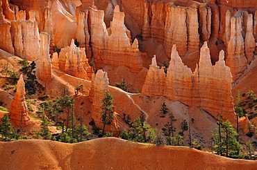 Queen Victoria rock formation, Queens Garden Trail, Sunset Point, Bryce Canyon National Park, Utah, United States of America, USA